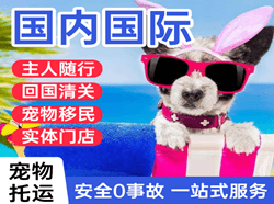 张家界航空快运国际宠物托运 【国